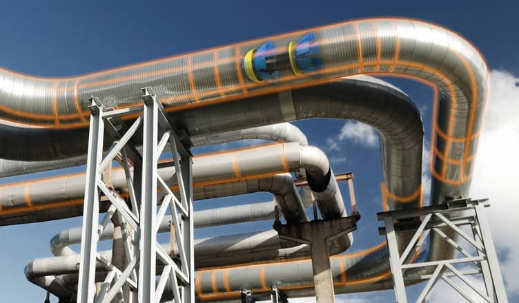 Molch fährt durch die Gasleitung